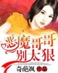 恶魔哥哥，别太狠！封面