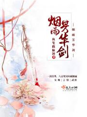 烟雨芳华剑封面