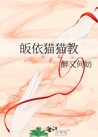 皈依猫猫教封面