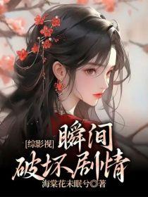 综影视一瞬间破坏剧情封面
