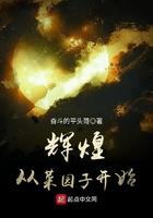 辉煌从菜园子开始封面
