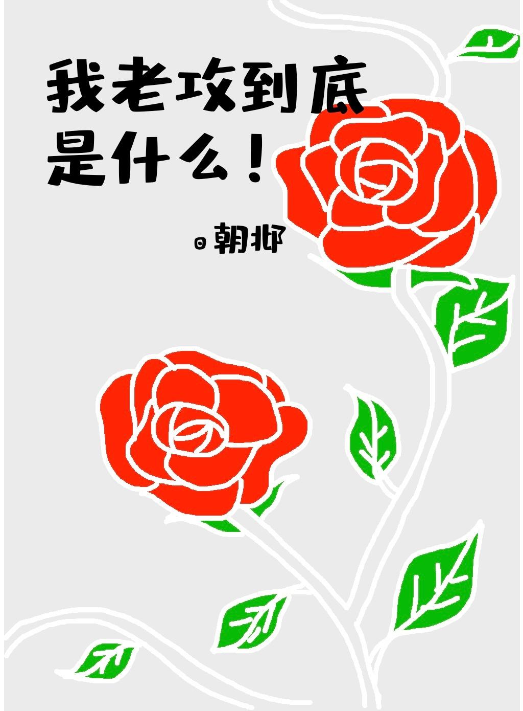 我老公到底是什么封面