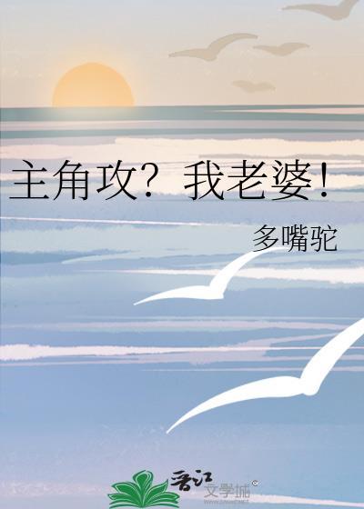 主角攻？我老婆！封面