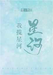我揽星河封面