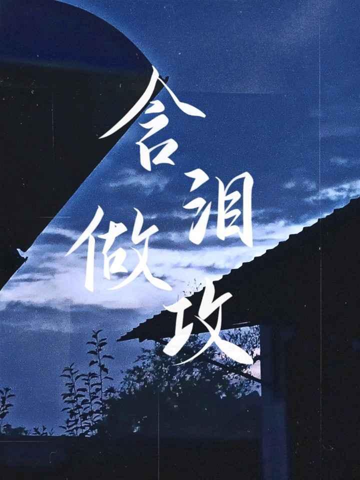 含泪做攻封面