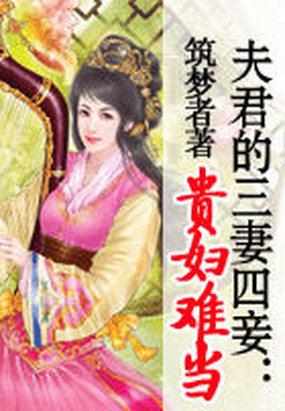 夫君的三妻四妾：贵妇难当封面