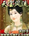 天宝风流封面