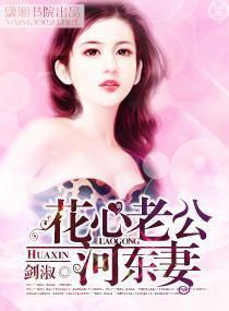 花心老公河东妻封面