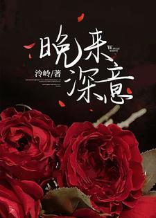 晚来深意封面