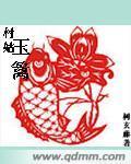 村姑玉篱封面
