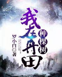 我在丹田种棵树封面