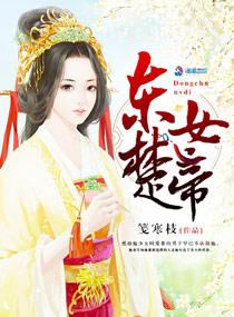 江月何时初照人封面