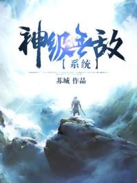 凤绵绵司君封面