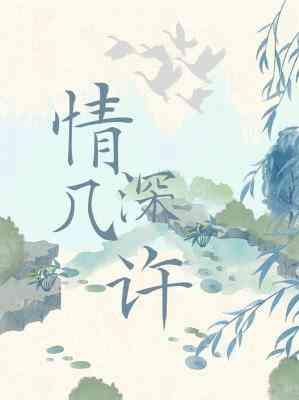 情深几许封面