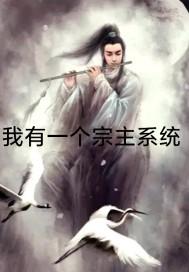 我有一个宗主系统封面