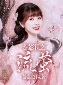综影视之流萤封面