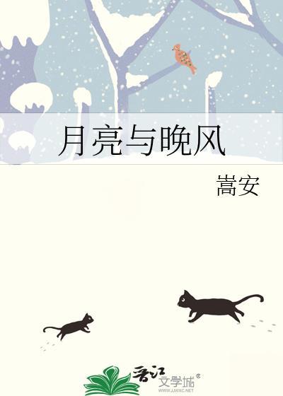 月亮与晚风封面