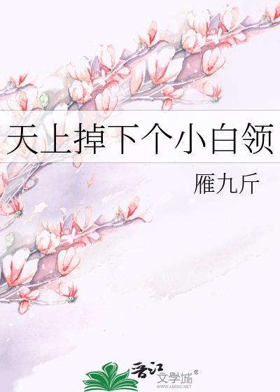 天上掉下个小白领封面