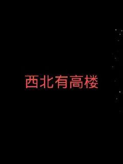 西北有高楼封面