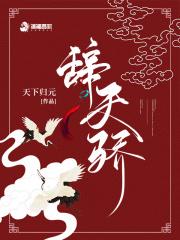 铁慈慕容翊封面