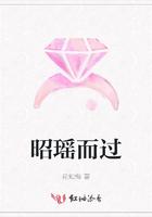 昭瑶而过封面