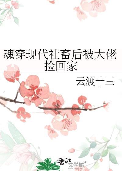 魂穿现代社畜后被大佬捡回家封面