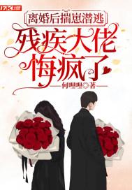 离婚后揣崽潜逃，残疾大佬悔疯了封面