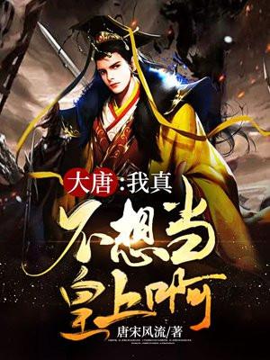 大唐：我真不想当皇上啊！封面