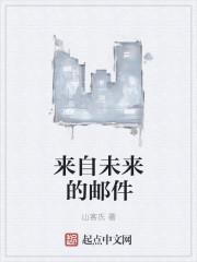 来自未来凡客txt封面