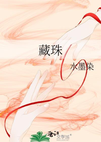 藏珠封面