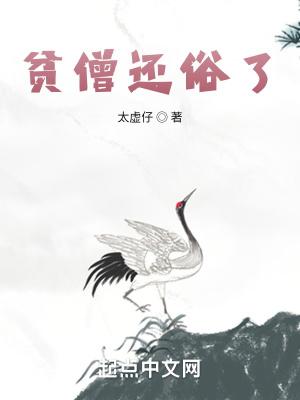 贫僧还俗了封面