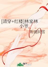 [清穿红楼]林家林小爷封面