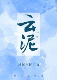 云泥小说青崖山人封面