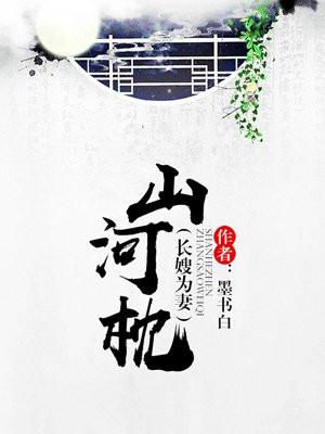 山河枕（长嫂为妻）封面