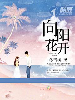 向阳花开封面