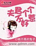 夫君个个不好惹封面