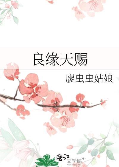 良缘天赐封面