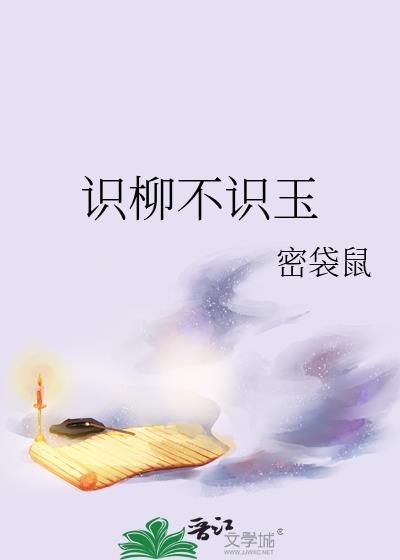 识柳不识玉封面