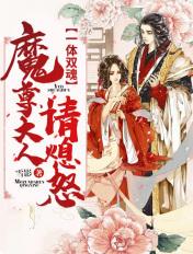 一体双魂：魔尊大人请息怒封面