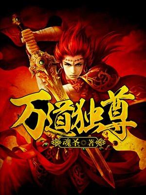 万道独尊封面