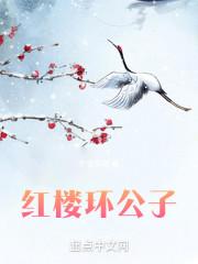 红楼环公子封面