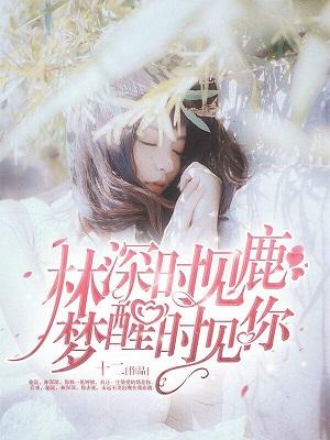 林深时见鹿，梦醒时见你封面