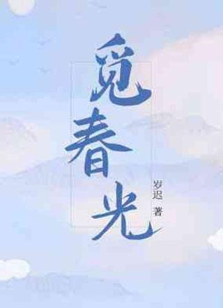 觅春光封面