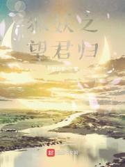 狐妖之望君归封面