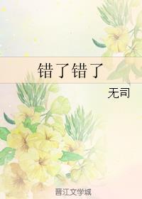错了错了封面