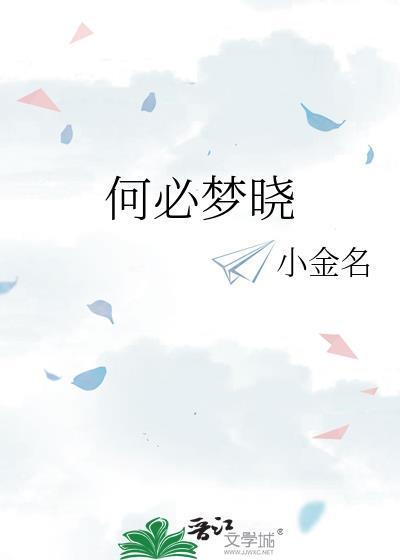 何必梦晓封面