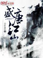 盛唐江山封面