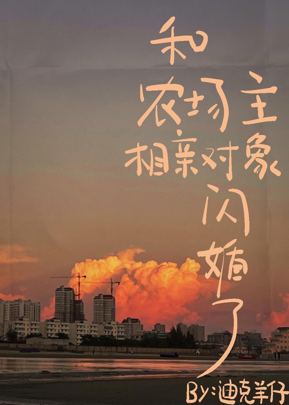 和农场主相亲对象闪婚了封面