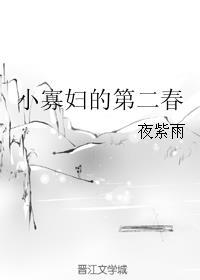 小寡妇的第二春封面