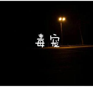 毒宠封面